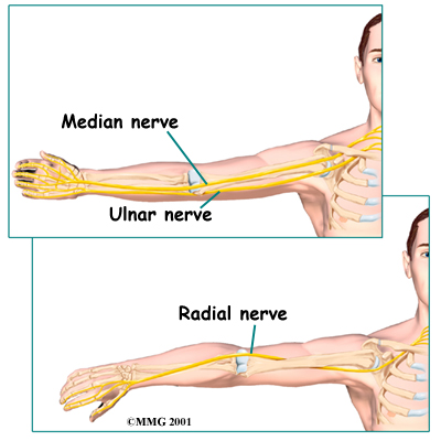arm nerve pain